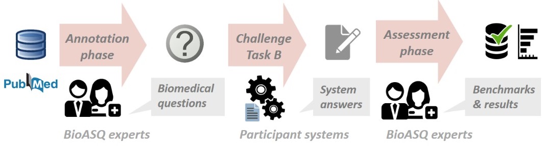 The process of task B on Biomedical Question Answering.